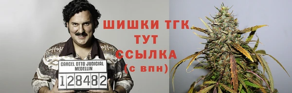 шишки Армянск