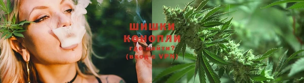 шишки Армянск