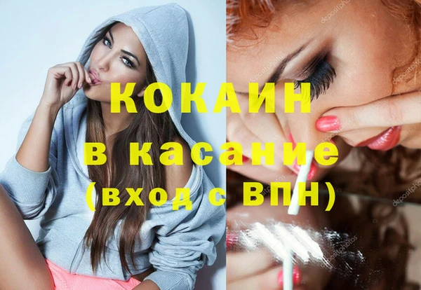 шишки Армянск