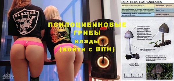 МДПВ Аркадак