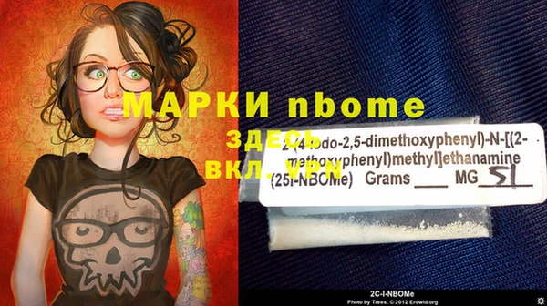 шишки Армянск