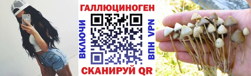 даркнет сайт  Аткарск  Галлюциногенные грибы прущие грибы 